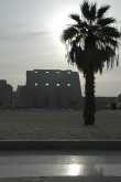 De tempel van Karnak, in de vroege ochtendzon. 