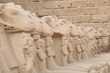 De sphinxen van Ramses II 