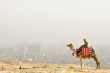 Ca�ro met smog en kameel. 