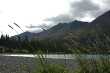 Decoratieve graspollen in Kluane National park 