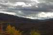 Verbrand bos langs de Klondike Highway 