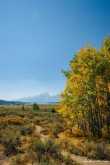 In Grant Teton national park 