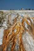 Upper Geyser Basin 