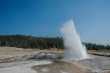 Plume Geyser 