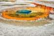 Beauty Pool 