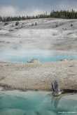 Ook Norris Geyser Basin 