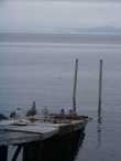 Queen Charlotte Strait 