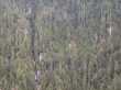 Compositie in groen (2) 