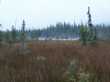 Liard hot springs 