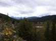 Potential Moose Country 