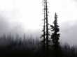 Yoho national park 
