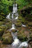 Dickson falls 