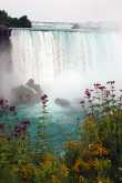 Horseshoe falls 