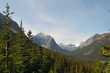Jasper National Park 
