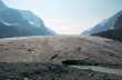 De enorme Athabasca Glacier. 