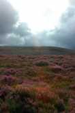 Een wandeling in de achtertuin 