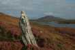 Loch Langais 