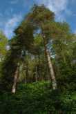 Loch Lomond and The Trossachs National Park 