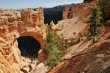 Arch-hoodoo-fin-bridge... 