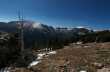 Langs de Trail Ridge Road 